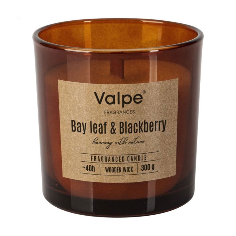 Ароматична свічка в склянці Bispol Valpe Fragrances Candle Bay Leaf &amp; Blackberry, 300 г (sn100-080-325)